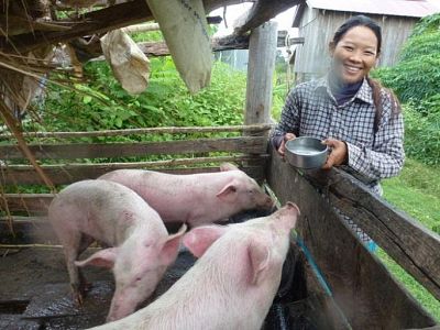Chhim Savoeun has started a small business raising pigs with savings and a loan she accessed through her Self-Help Group